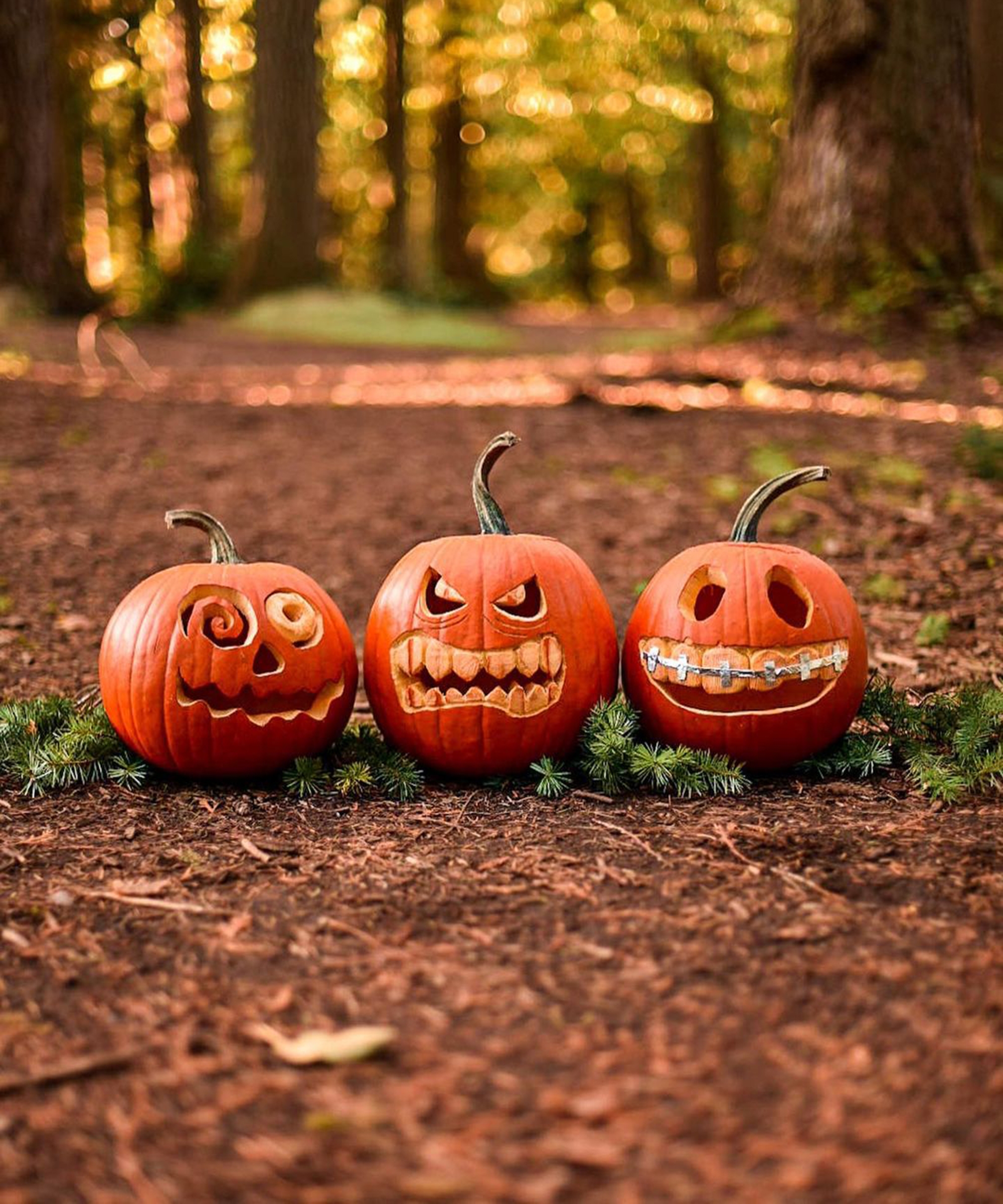 10 Pumpkin Carving Ideas Pretty And Peculiar Designs For 