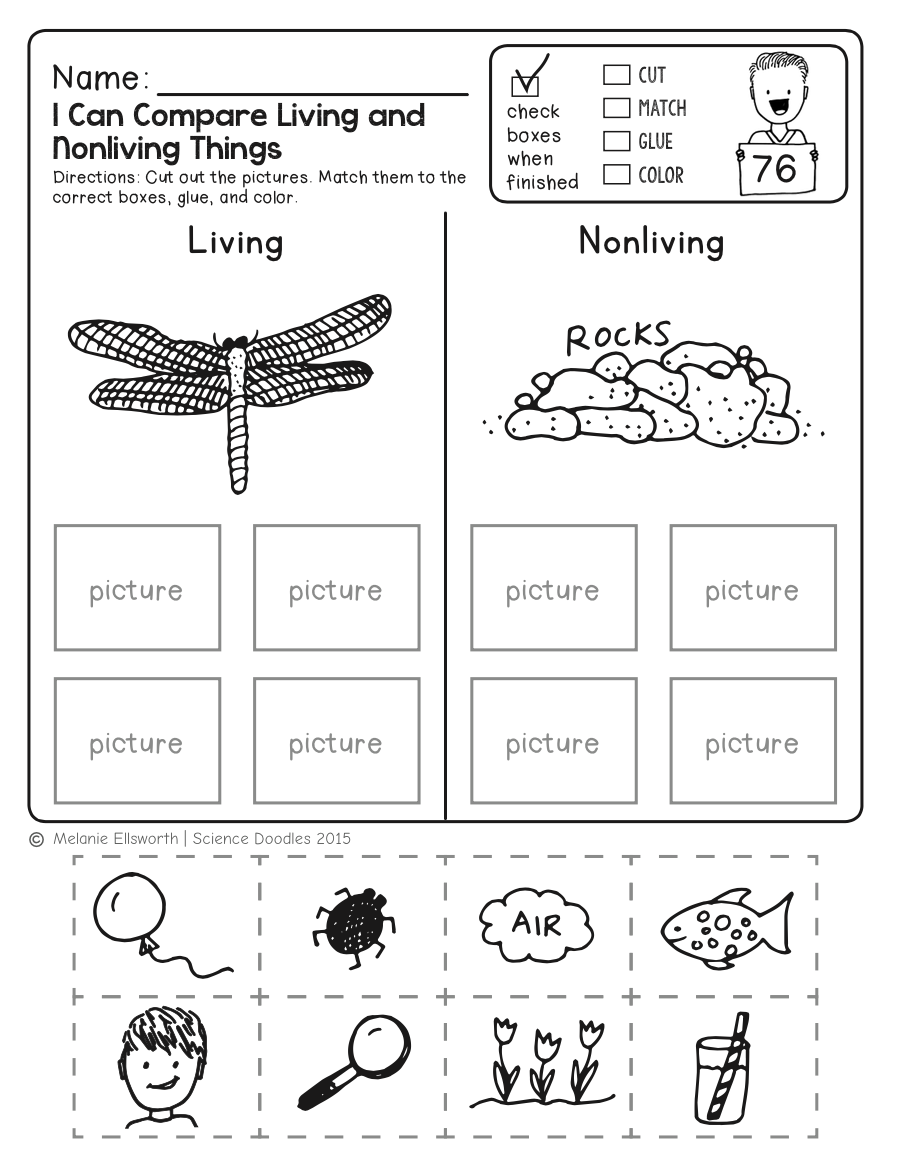 Science Printable Worksheets