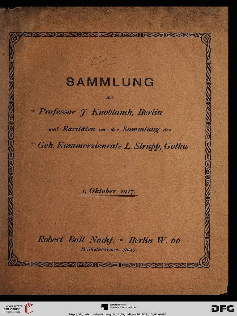 BALL 01 1917 10 01 Knoblauch Strupp PDF