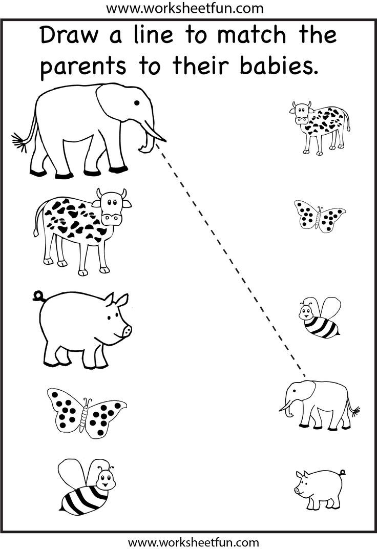 Free Preschool Matching Worksheets Fun Worksheets For Kids 