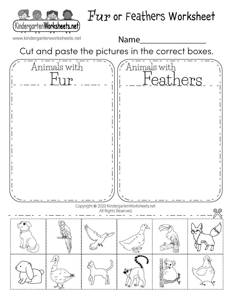 Free Printable Worksheets Science