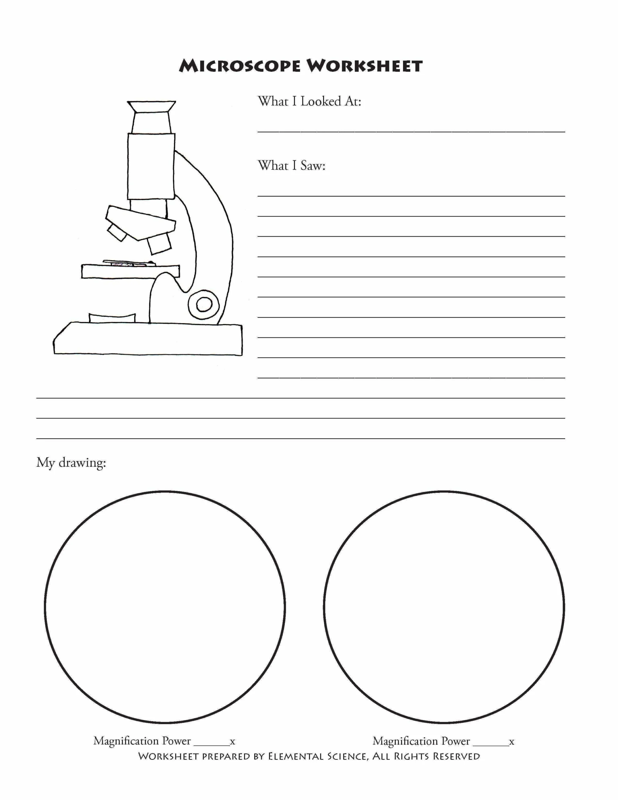 Get Free Microscope Notebooking Printables From Elemental Science