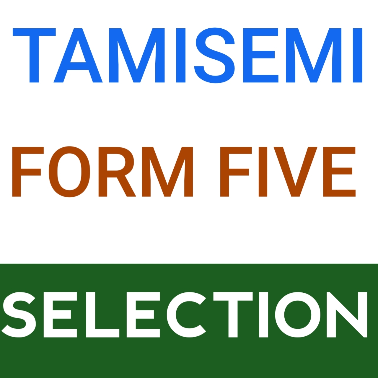 Form Five Selection 2026