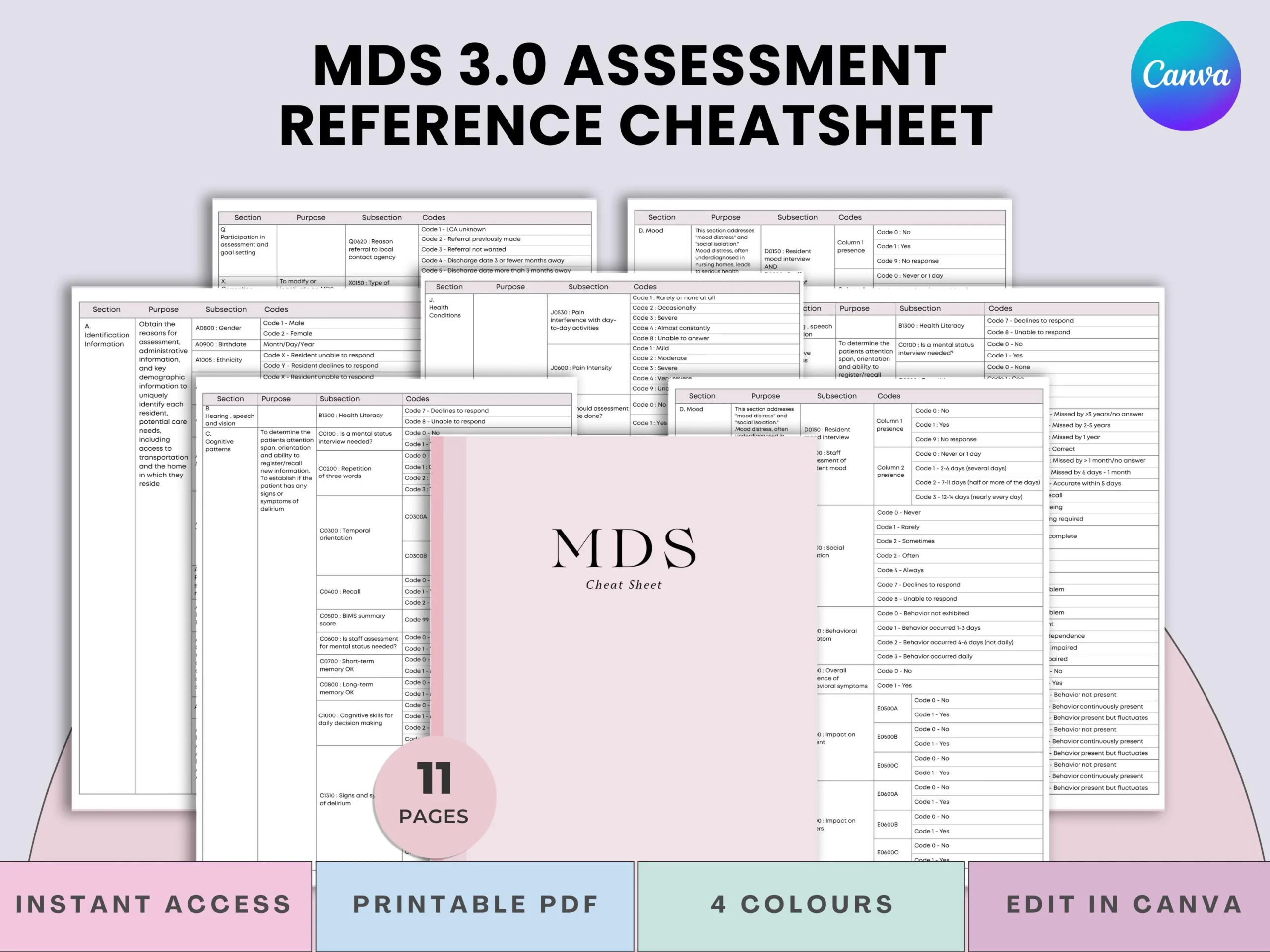 Mds 3.0 Blank Form Section J Printable