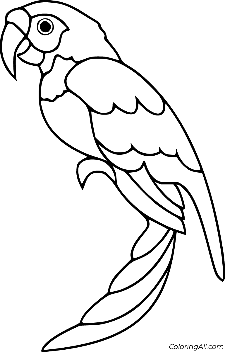 Parrot Coloring Pages 25 Free Printables ColoringAll