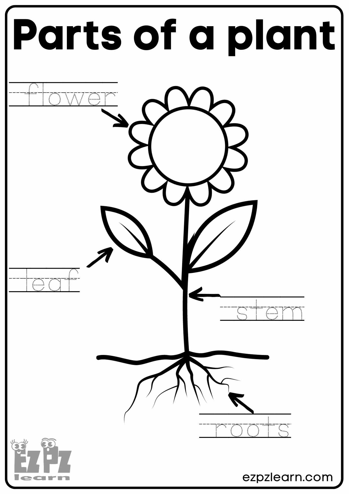Parts Of A Flower Worksheet Free Printable
