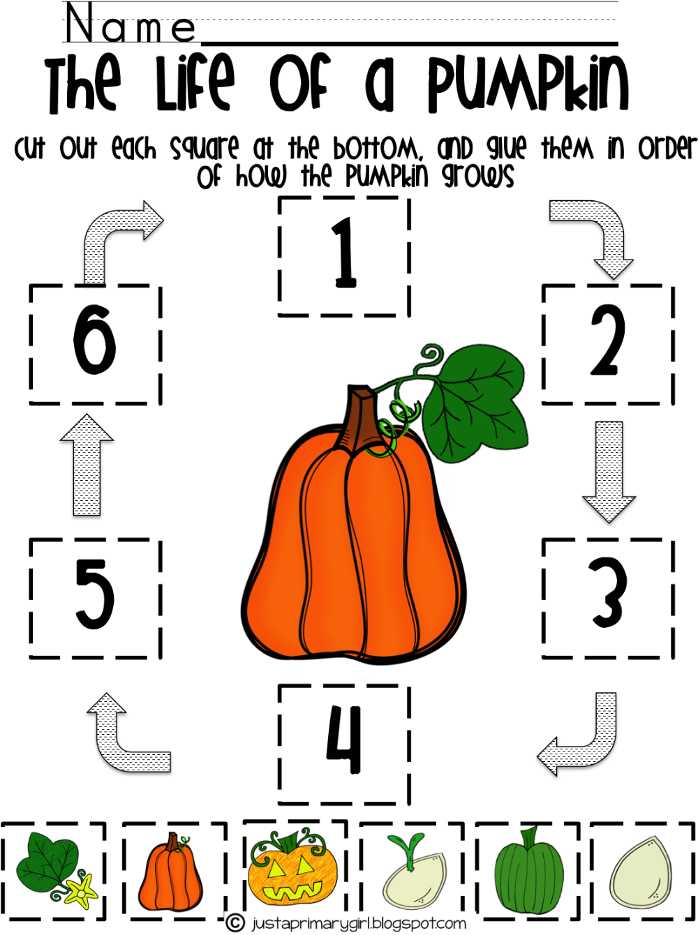 Printable Life Cycle Of A Pumpkin Printable Party Favors