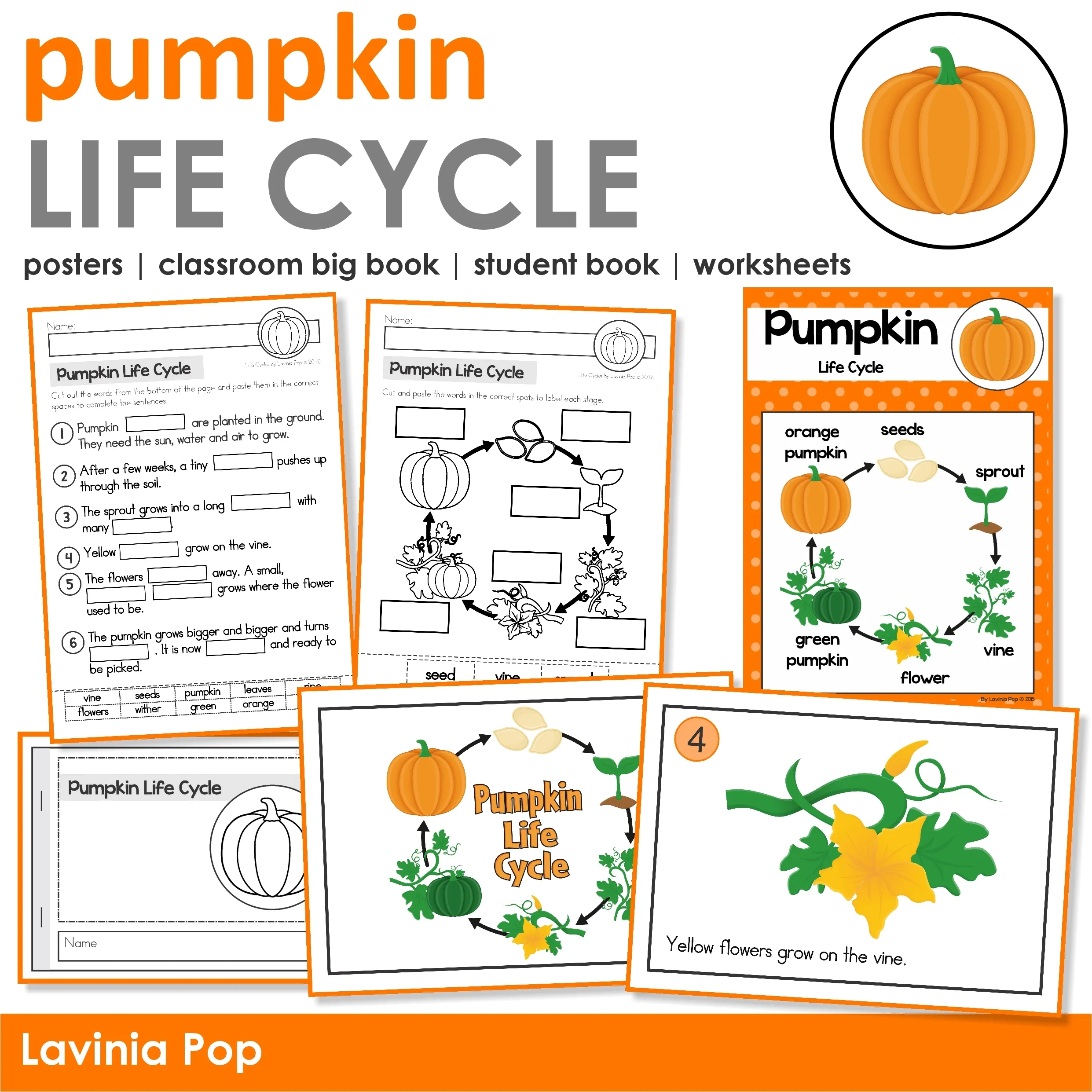 Pumpkin Life Cycle Activities For Kindergarten amp 1st Grade In My 
