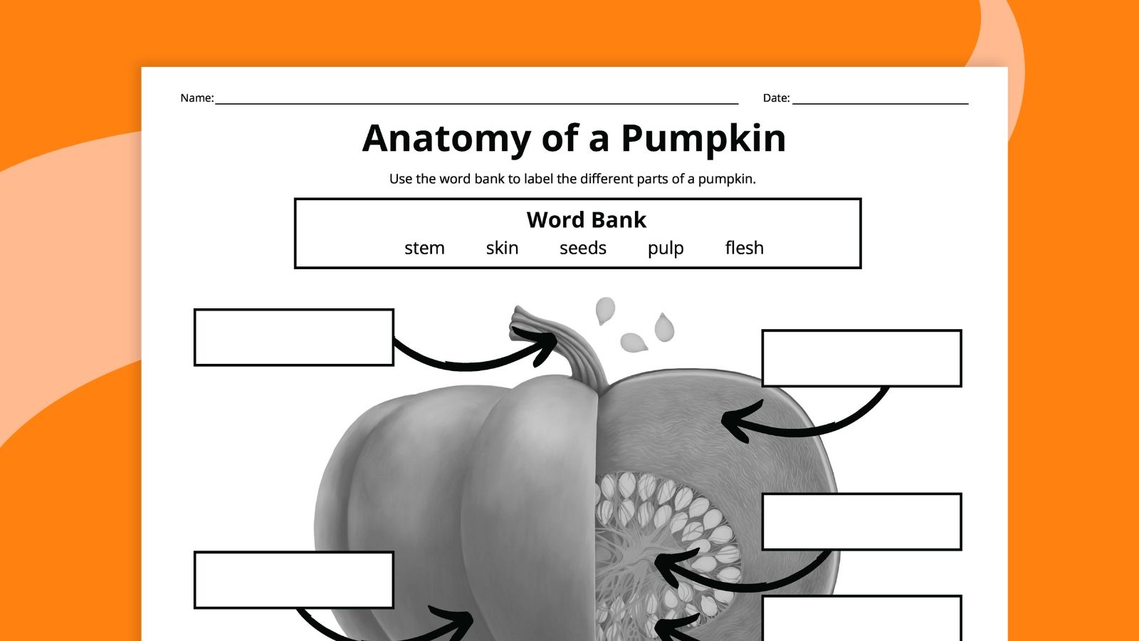 Free Printable Parts Of A Pumpkin Worksheet