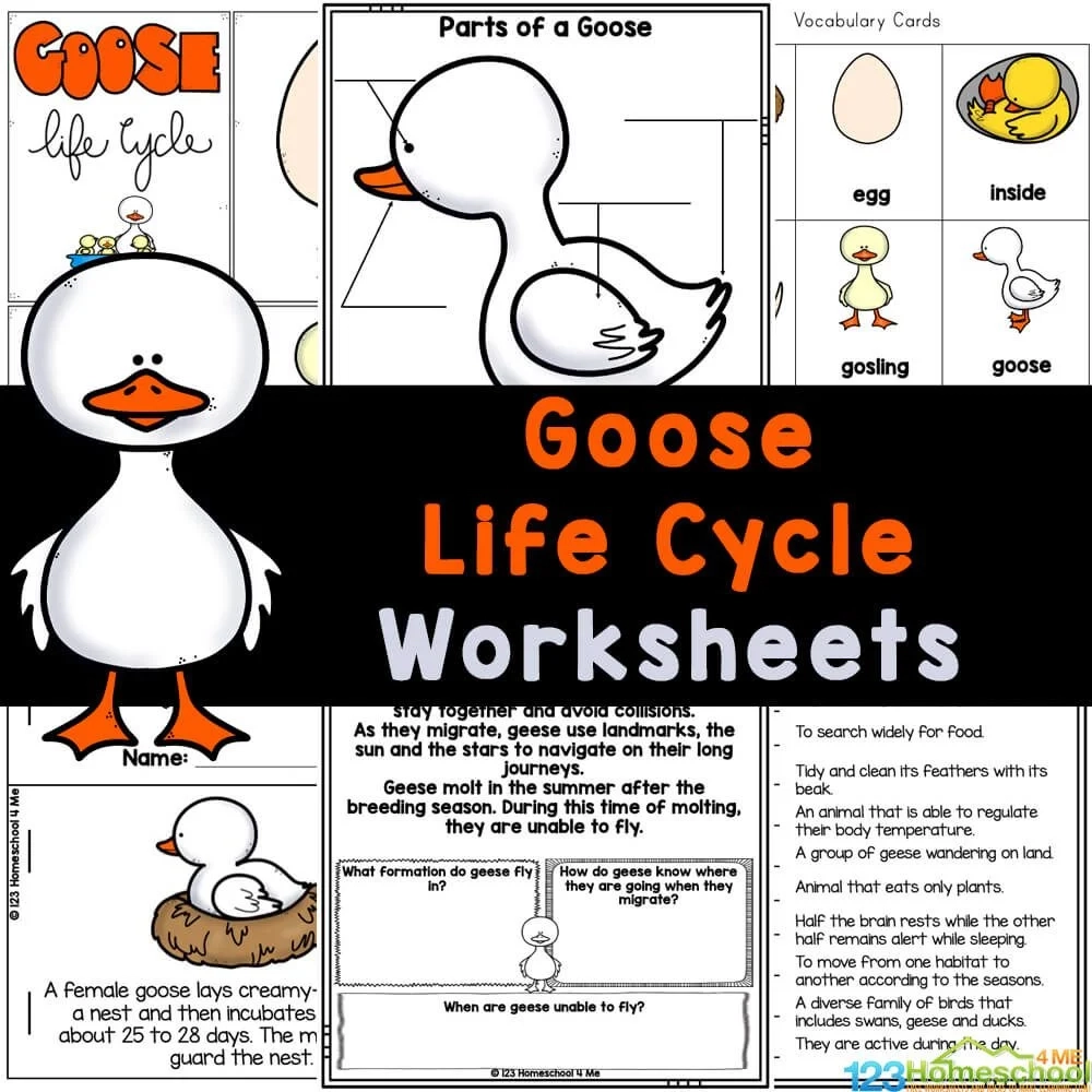 Science Printables Archives 123 Homeschool 4 Me