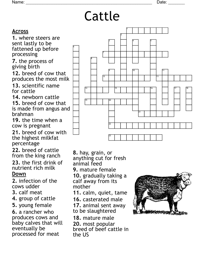 Clueless Crossword Clue Finder
