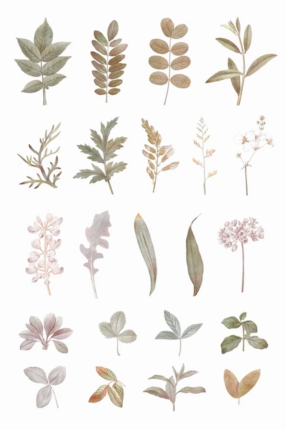 Aesthetic Journal Printable Stickers Images Free Download On Freepik