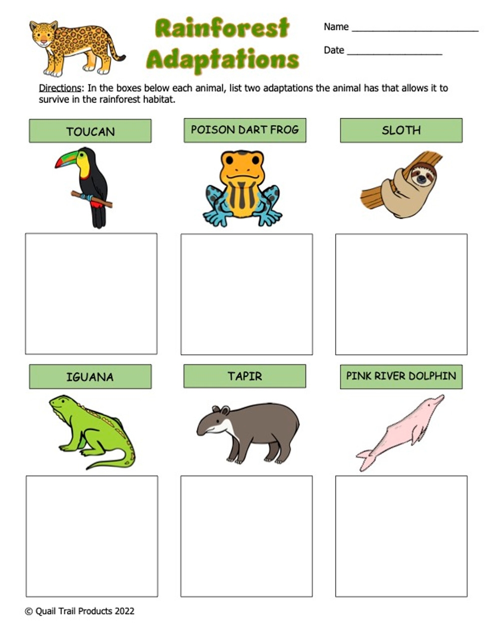 Animal Adaptations In The Rainforest Habitat Activities And Worksheets
