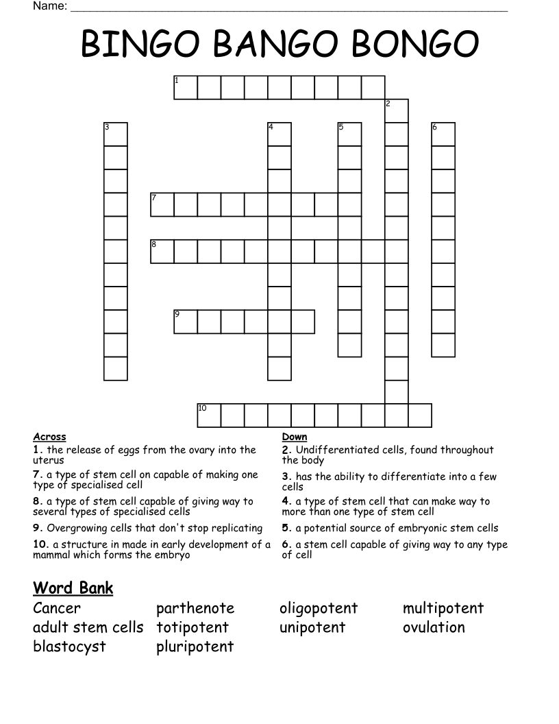 BINGO BANGO BONGO Crossword WordMint