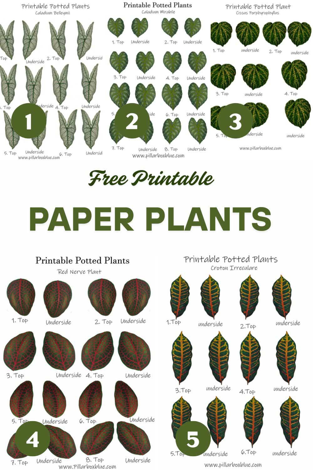 DIY Paper Plants Mini Tropical House Plants With Free Printables 