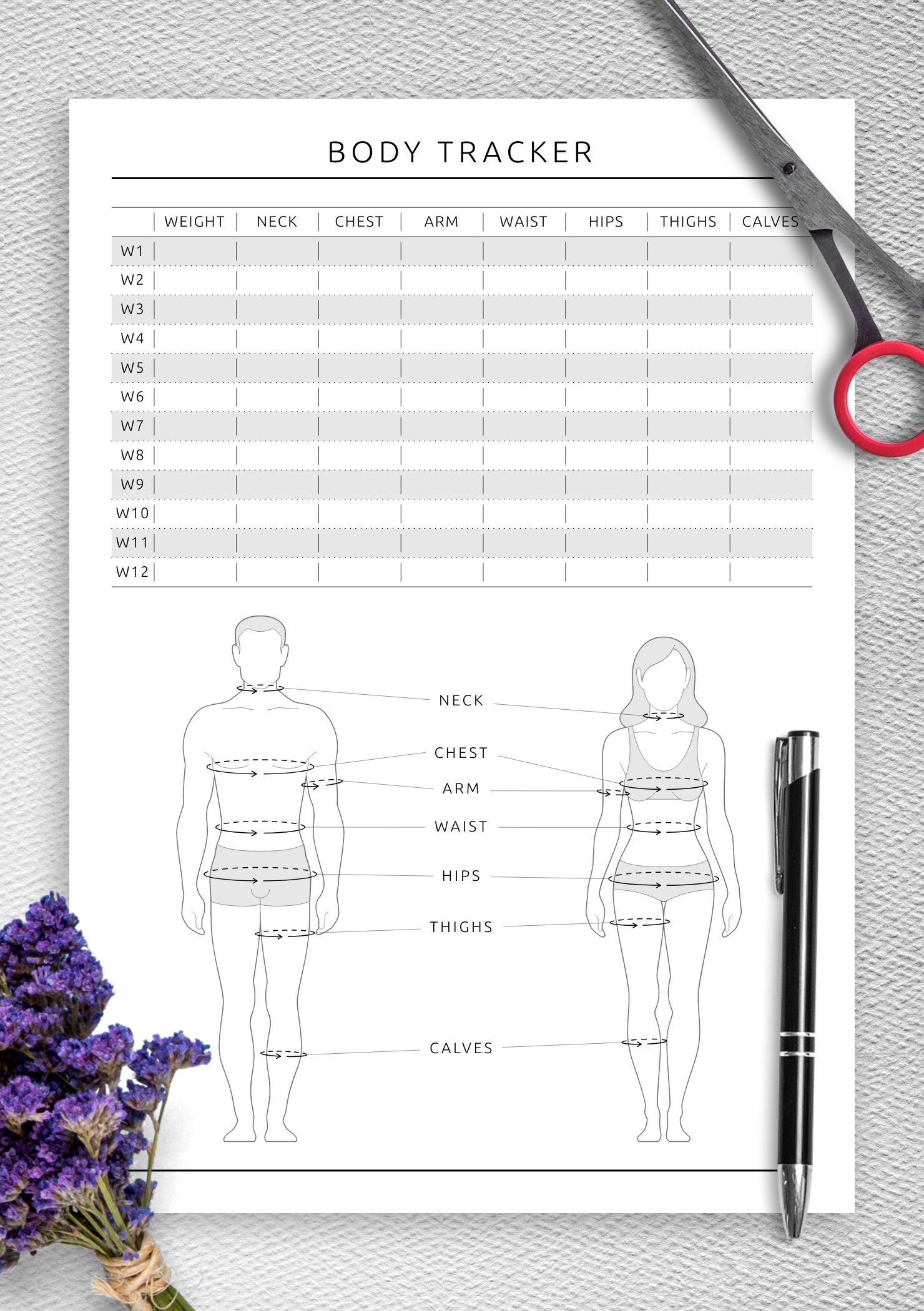 Body Printable Template