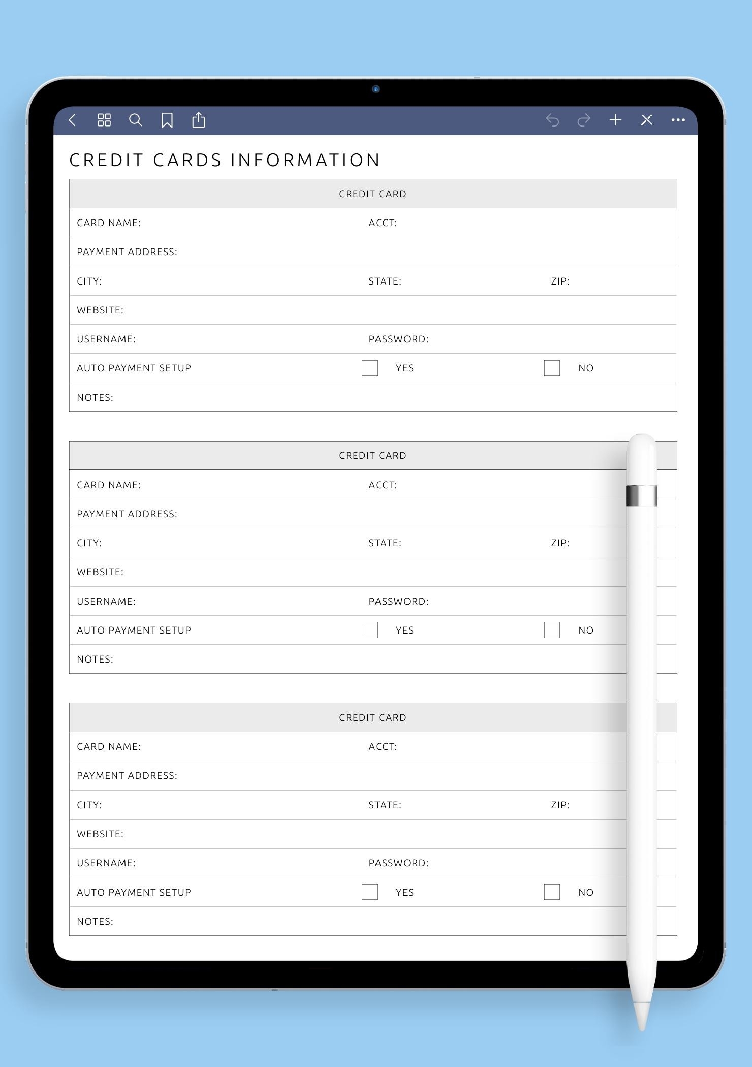 Download Printable Credit Cards Information Template PDF