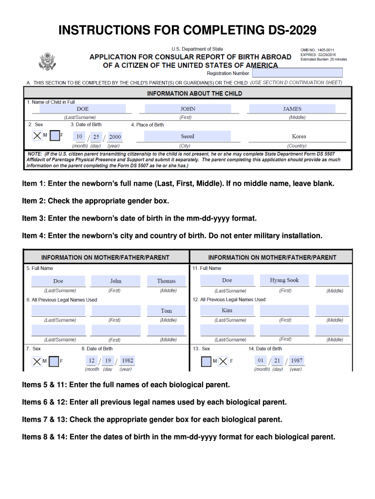 Ds Form 2029 Form