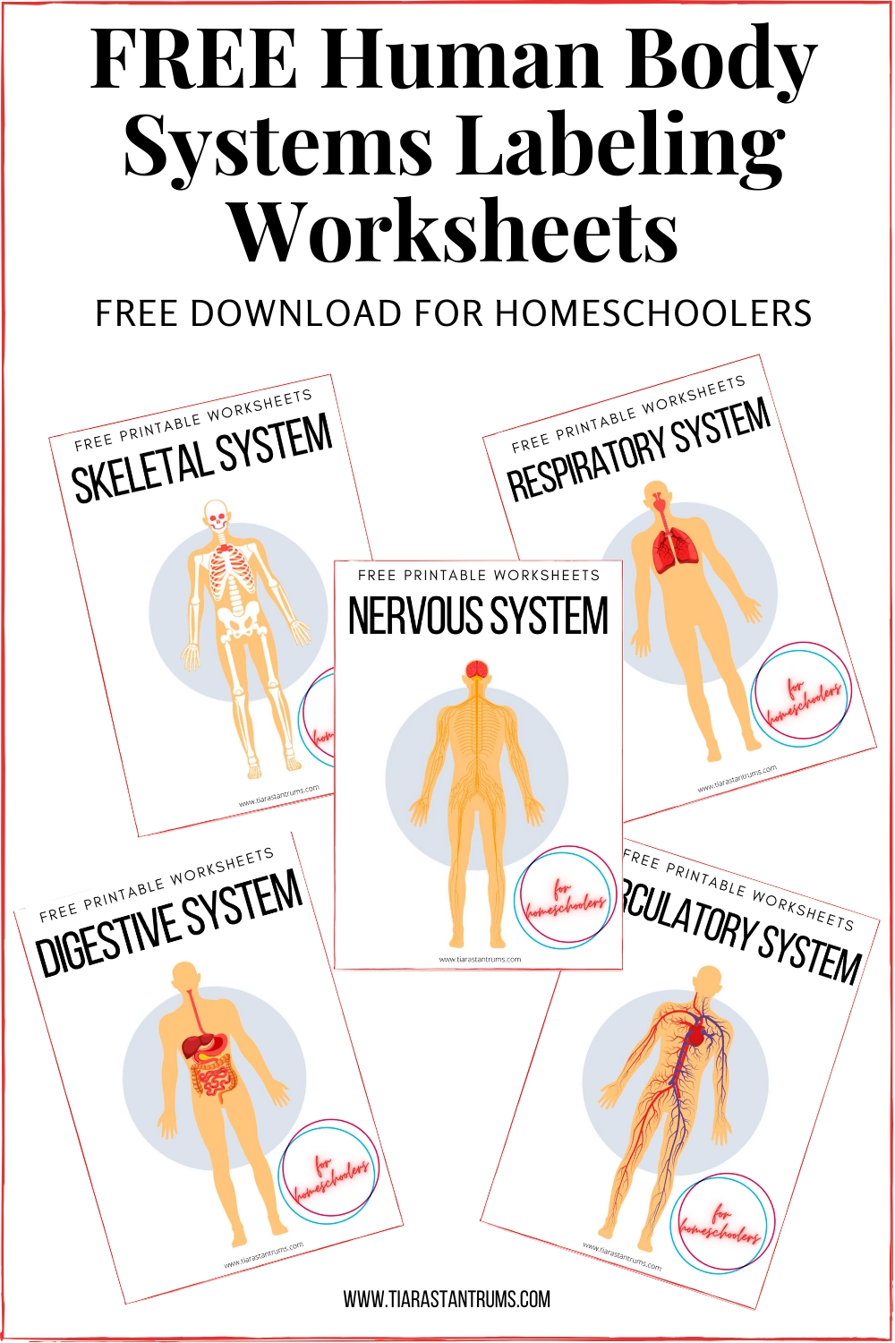 Free Printable Human Body Worksheets
