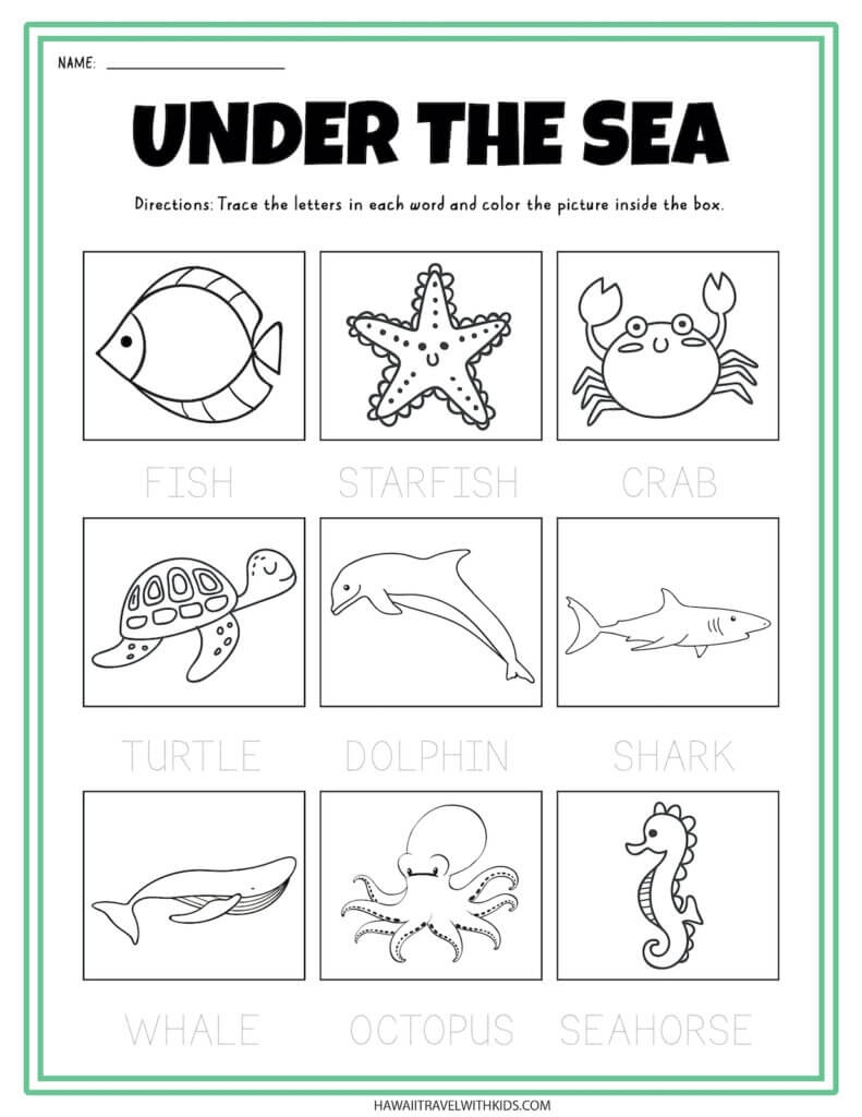 Free Printable Ocean Animals Worksheets