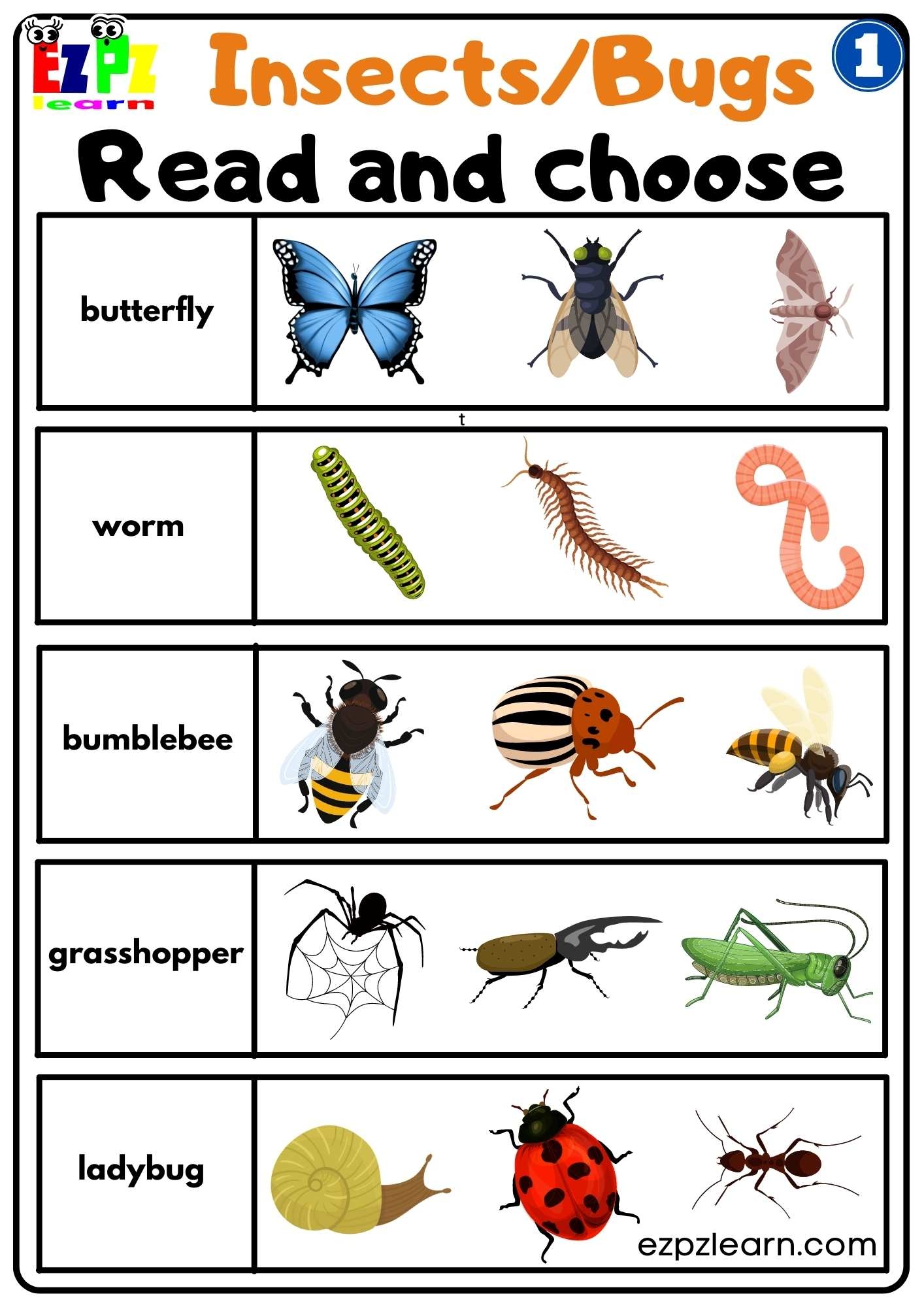 Group 1 Insects And Bugs Read And Choose Worksheet Free PDF 