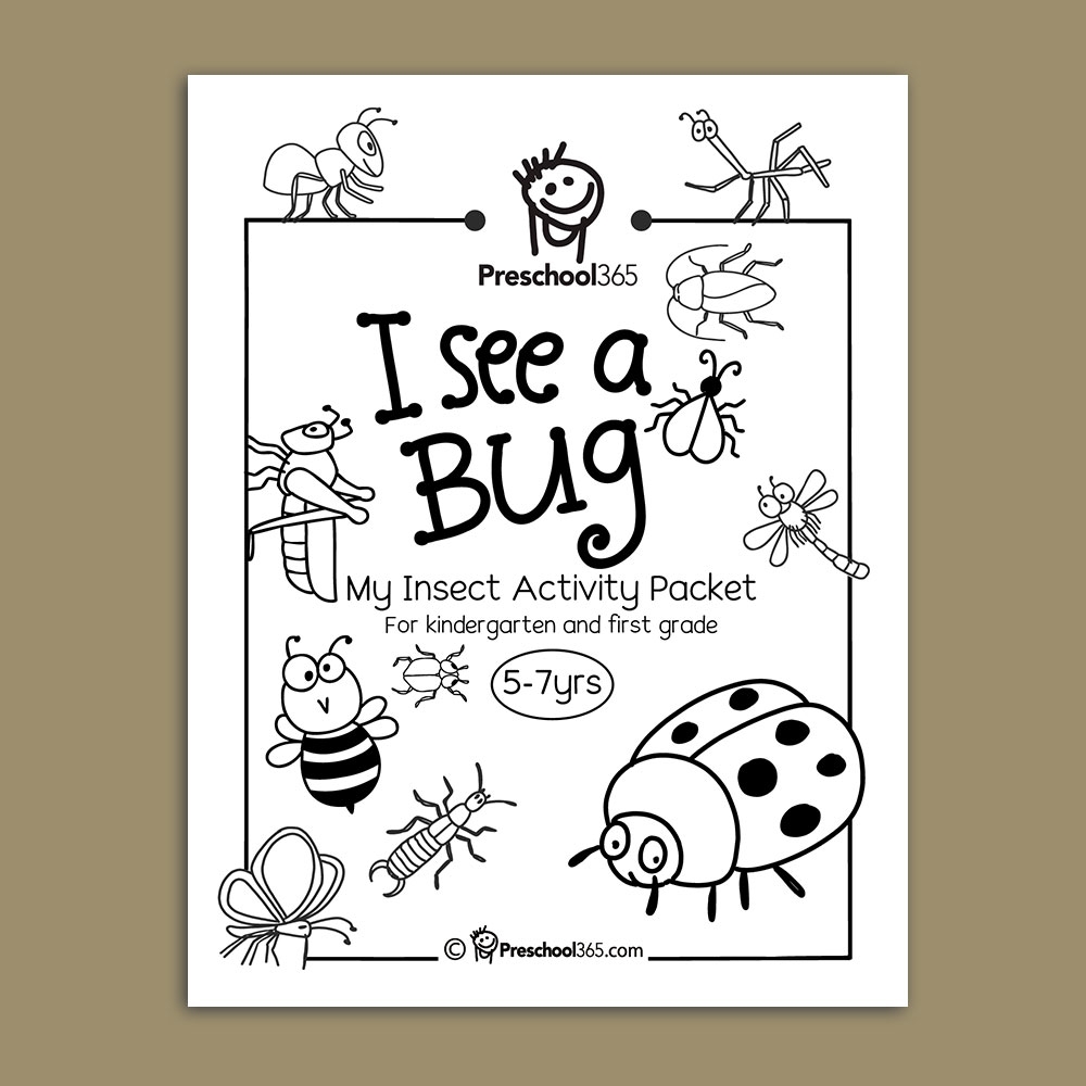 Insect Worksheet For Kindergarten