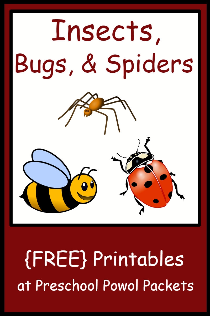 Insect Bug amp Spider Themed FREE Preschool Printables