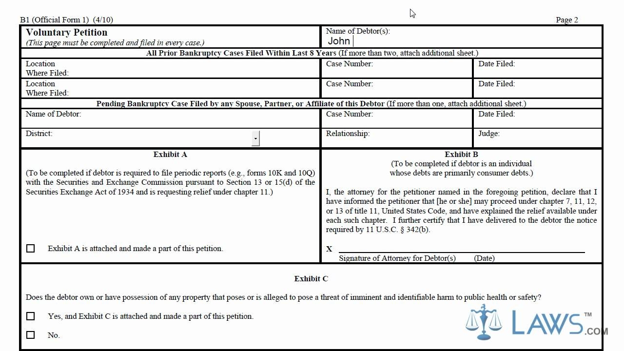 Learn How To Fill The Form B1 Voluntary Petition