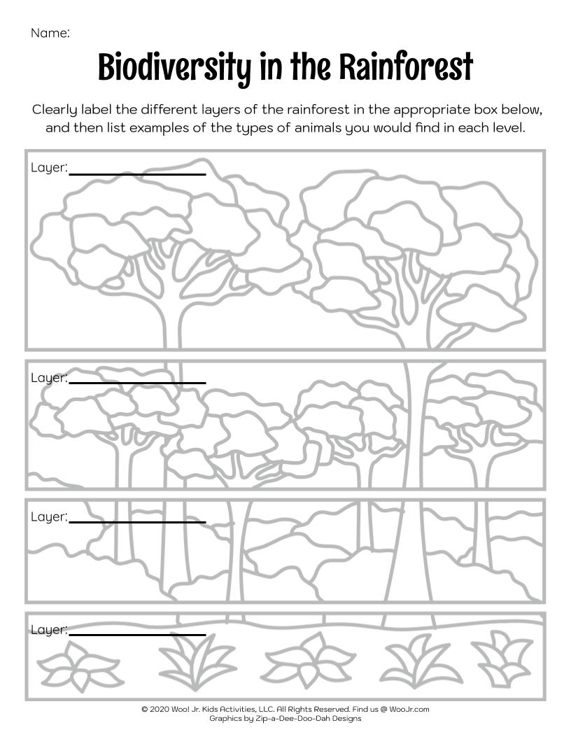 Rainforest Worksheet For Kindergarten