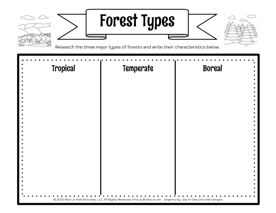 Learning About Rainforests And Biodiversity Woo Jr Kids 