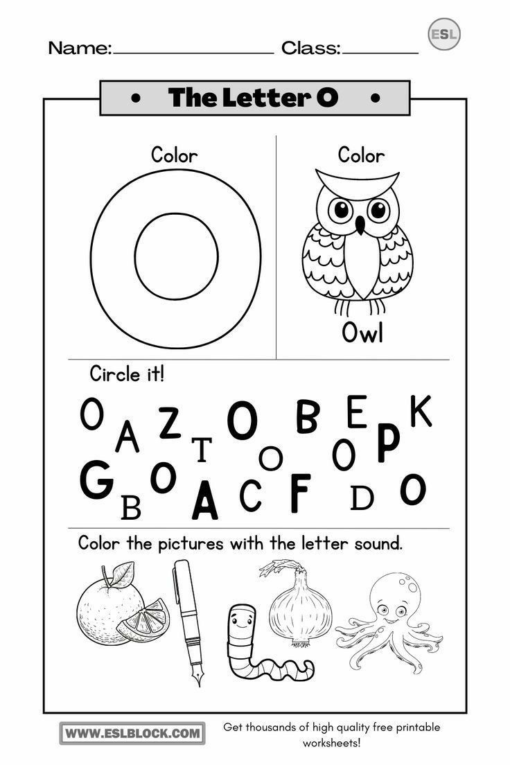 Printable Letter O Worksheets