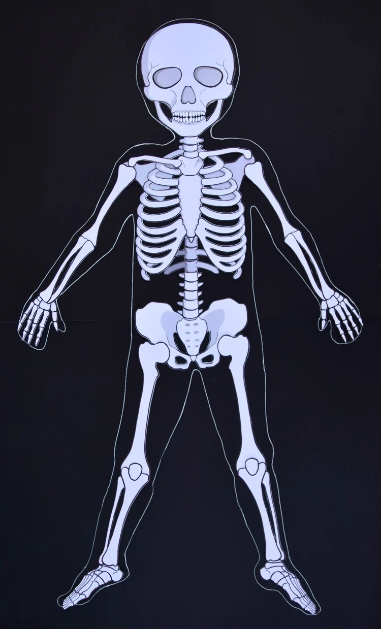 Large Skeleton Printable Free