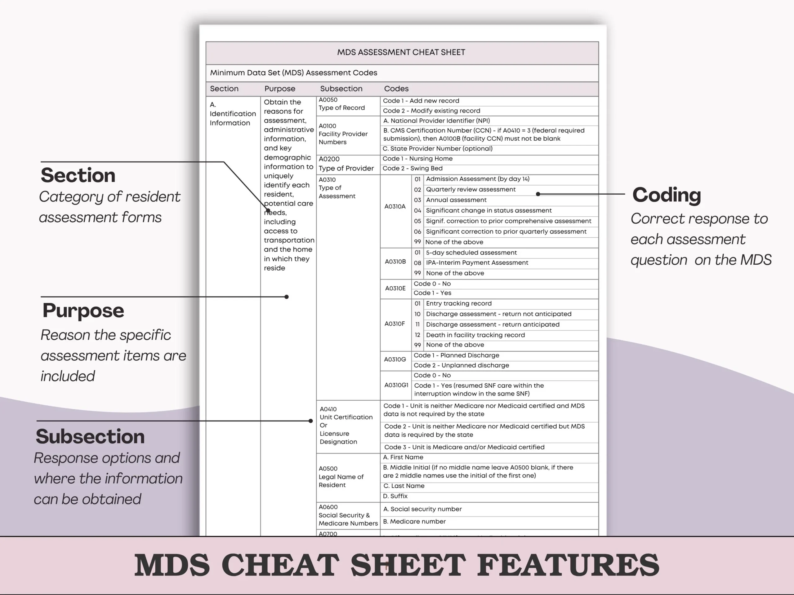 MDS 3 0 Assessment Cheat Sheet Set MDS Coordinators Quick 
