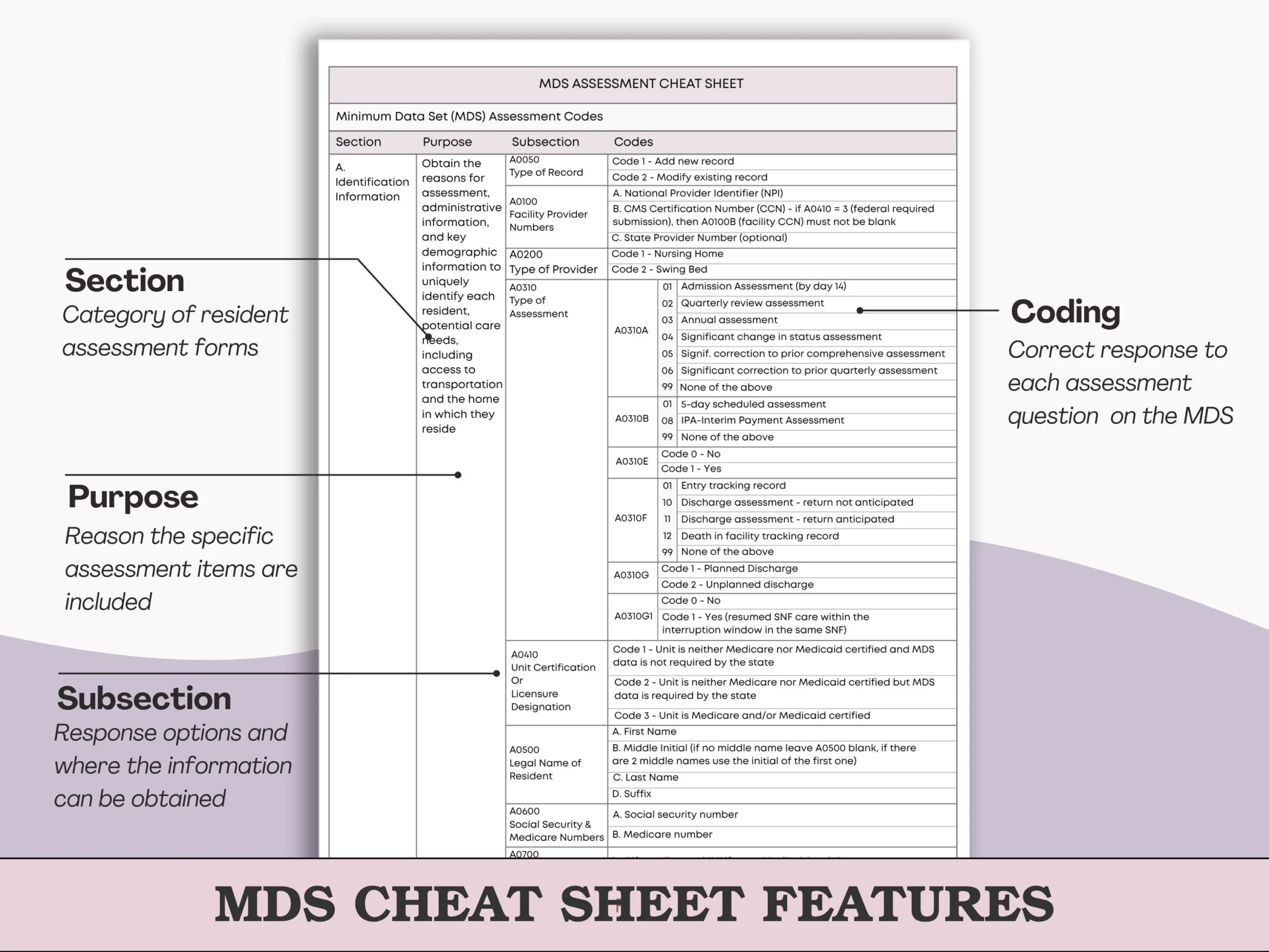 Mds Section F Printable Form