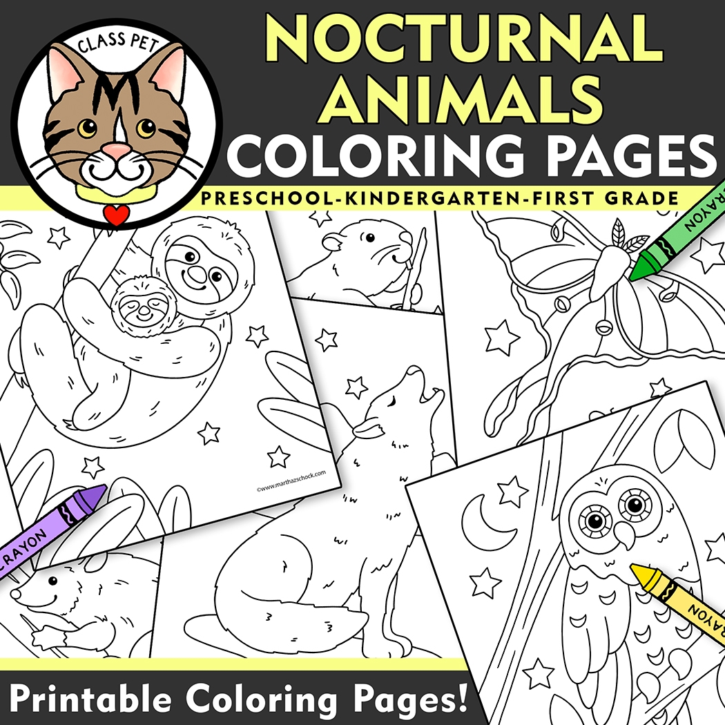 Nocturnal Animals Coloring Pages For Preschool Kindergarten 