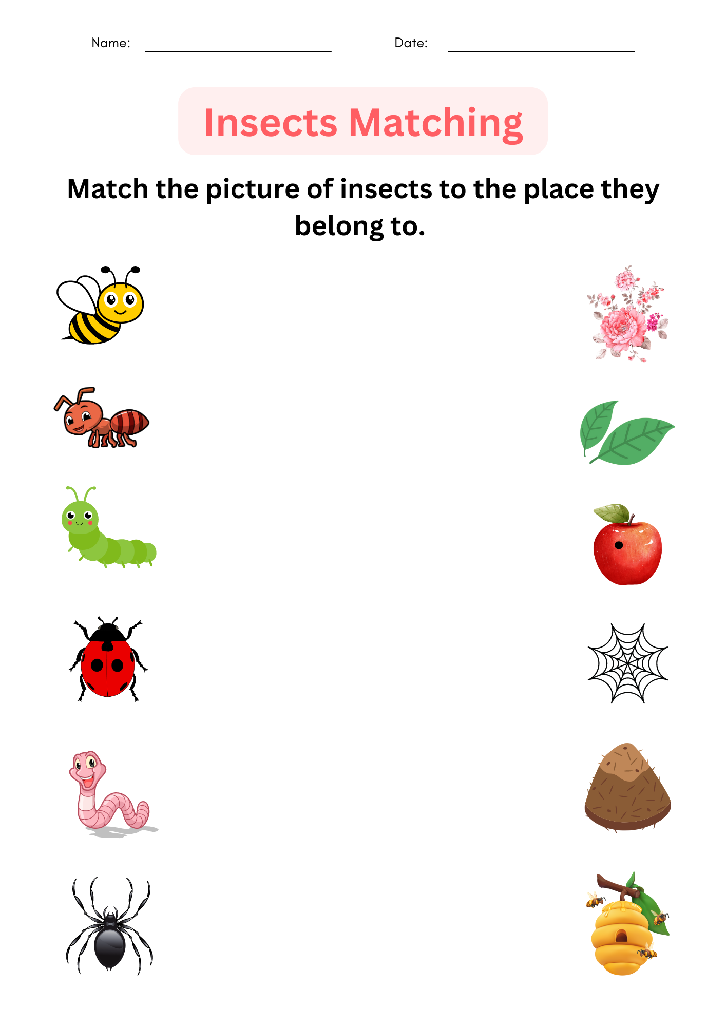 Printable Insects Worksheet For Kindergarten Identify And 