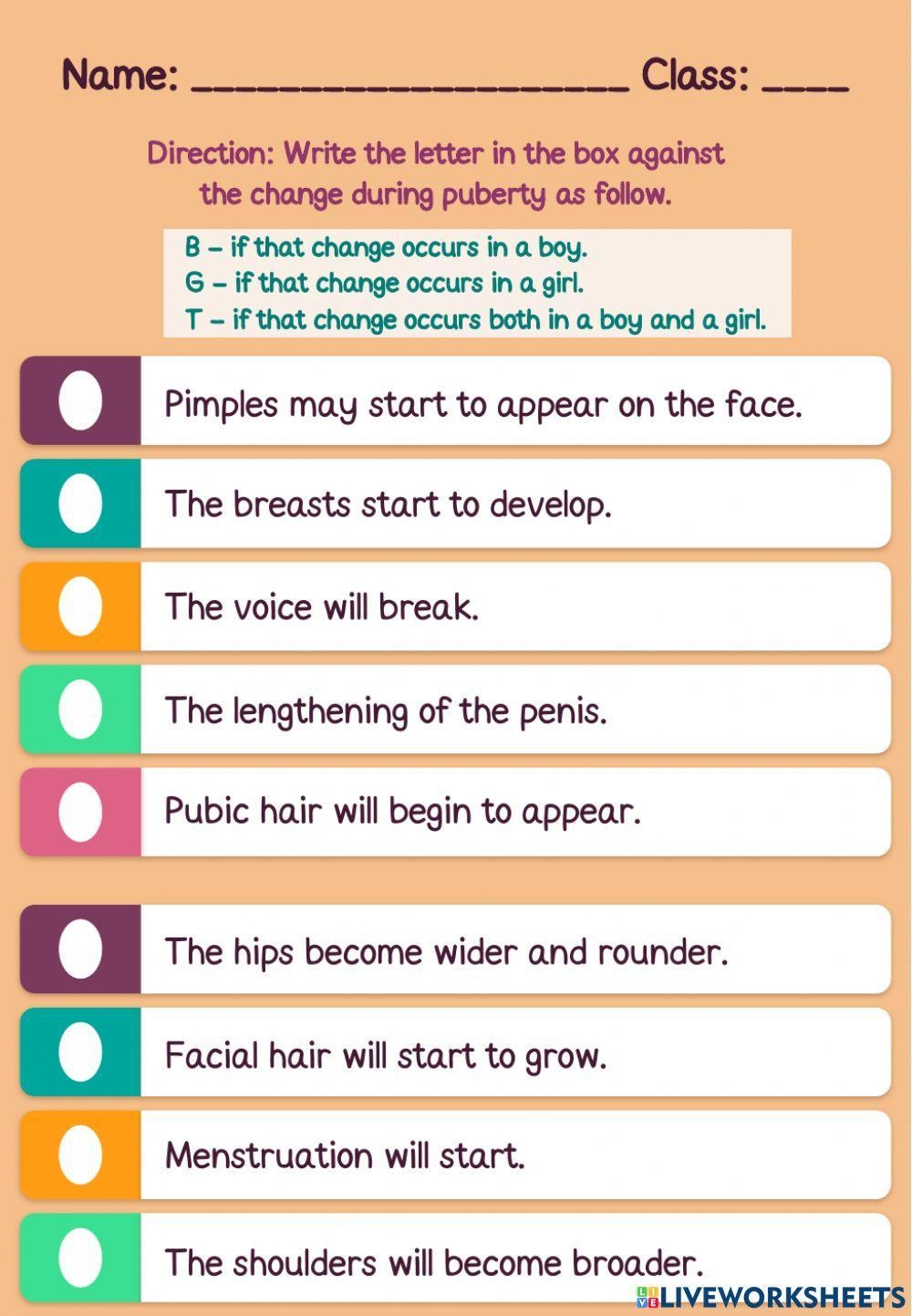 Puberty Worksheet Grade 5