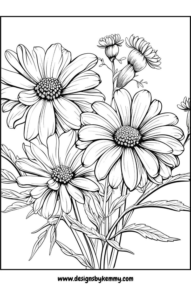 Relaxing Wildflowers Coloring Pages Coloring Pages For Adults 