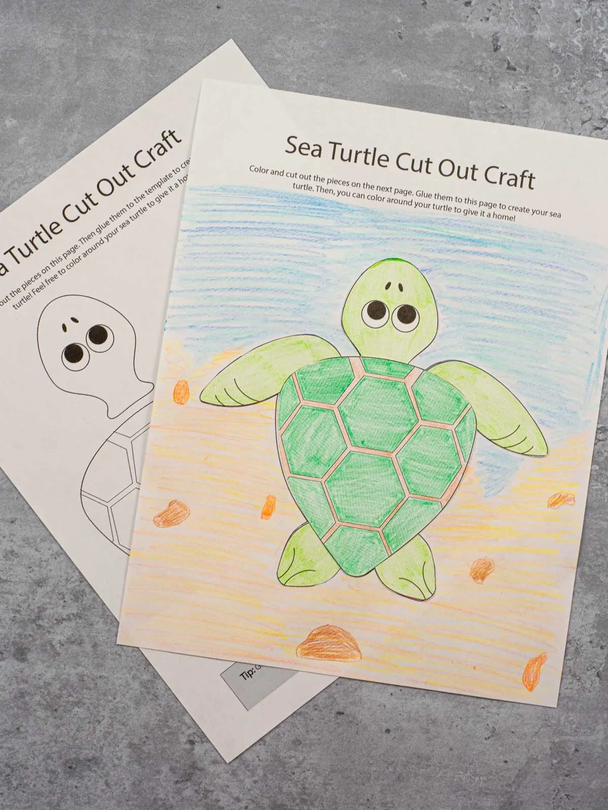 Turtle Template Free Printable