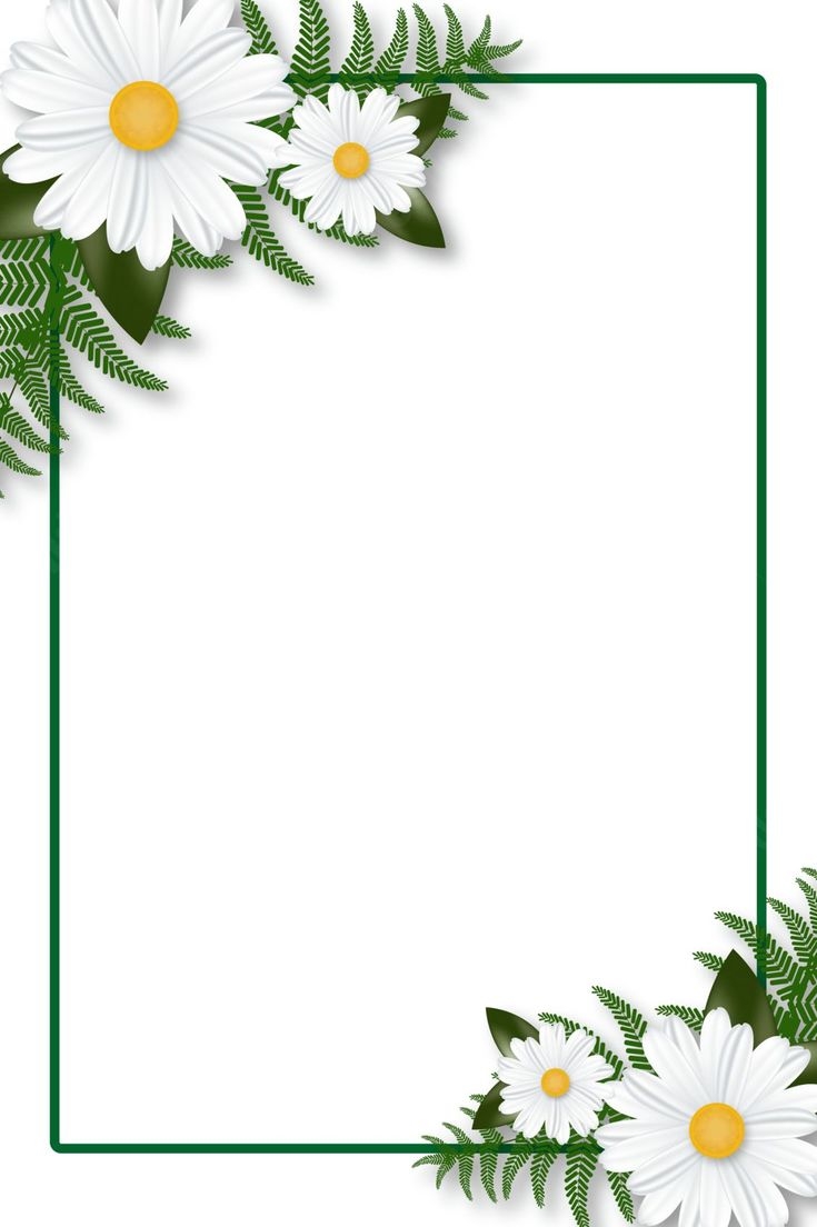 Soft Pale Flower Border Designs Page Border Background Word 