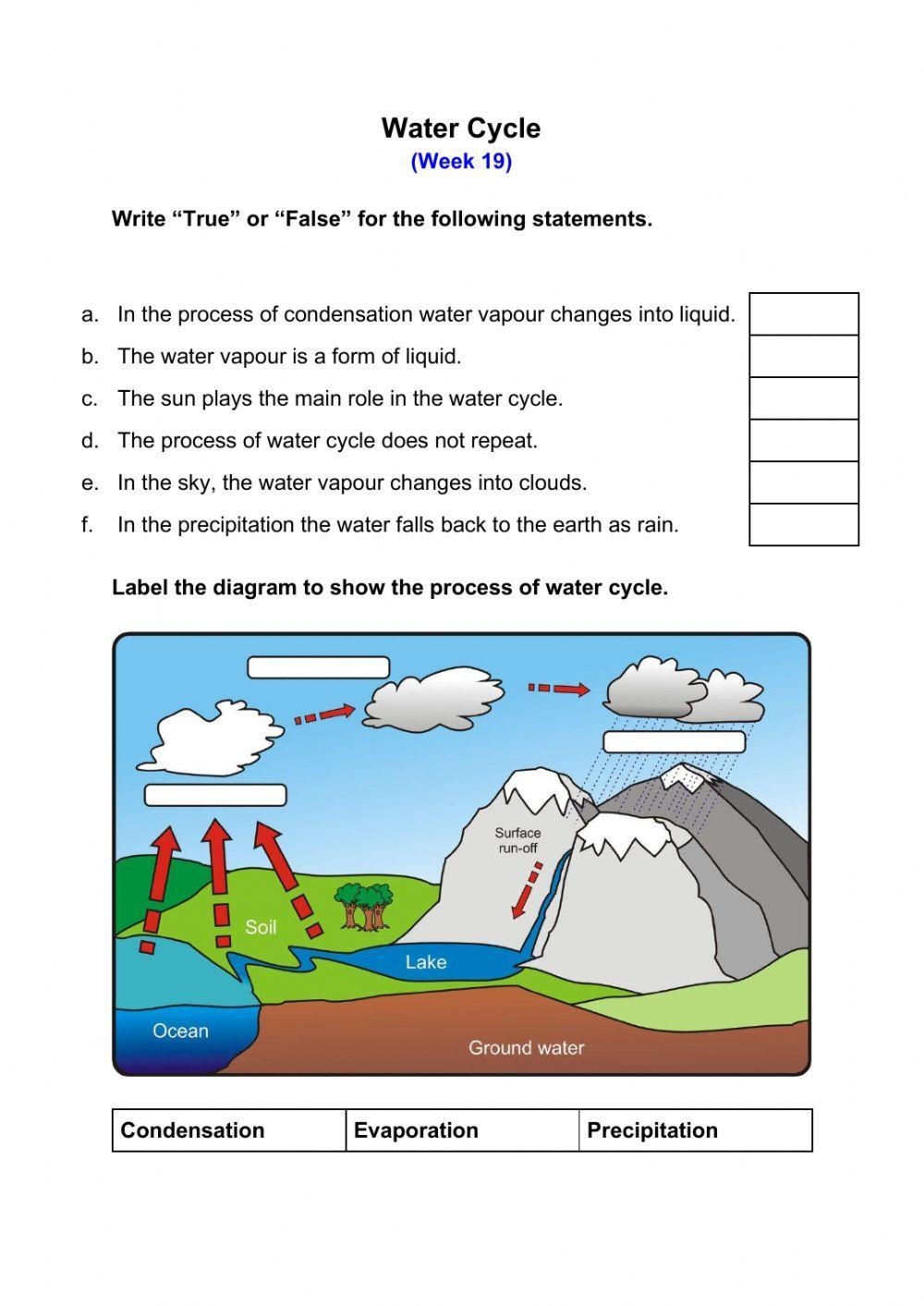 Water Cycle Worksheet With Answers