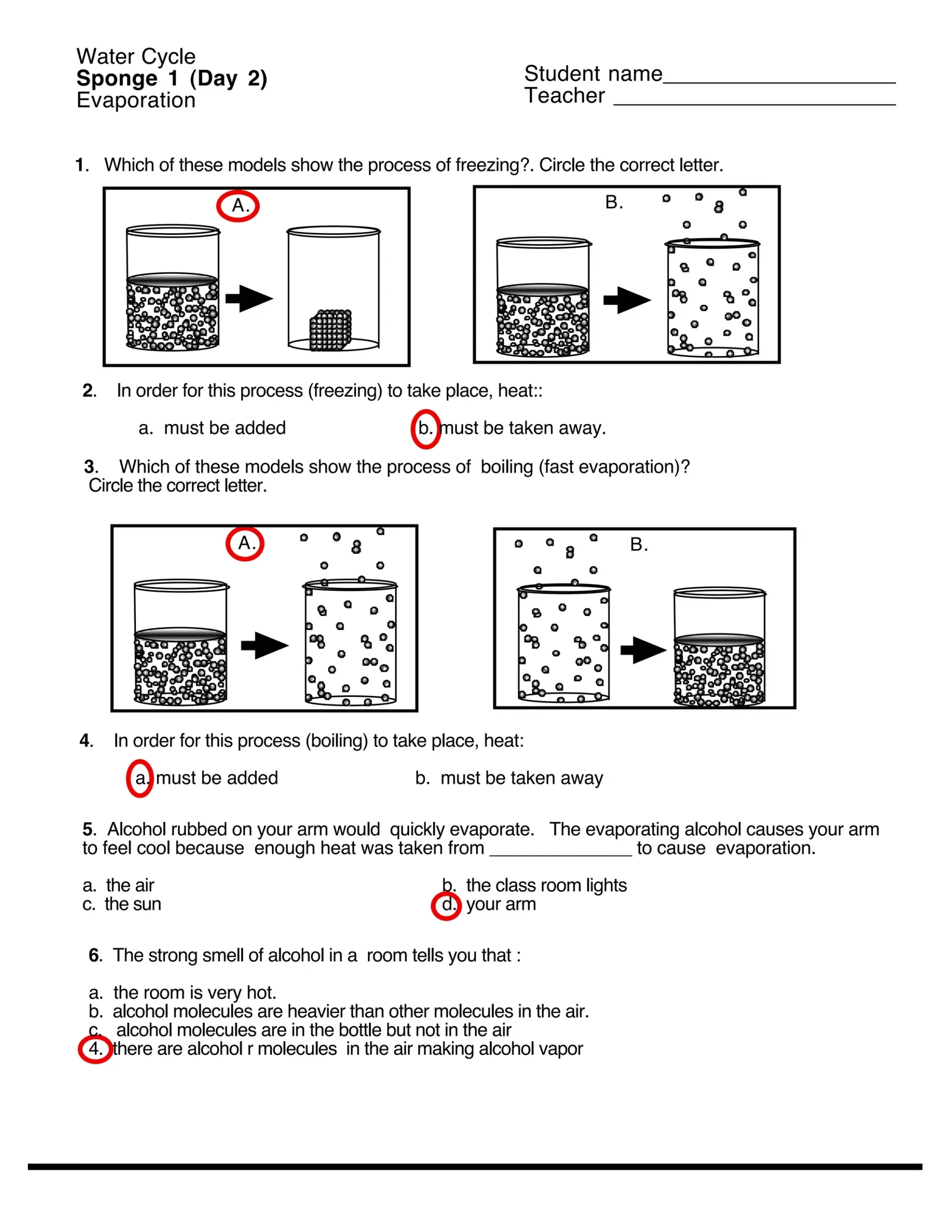 Water Cycle worksheet s answers PDF
