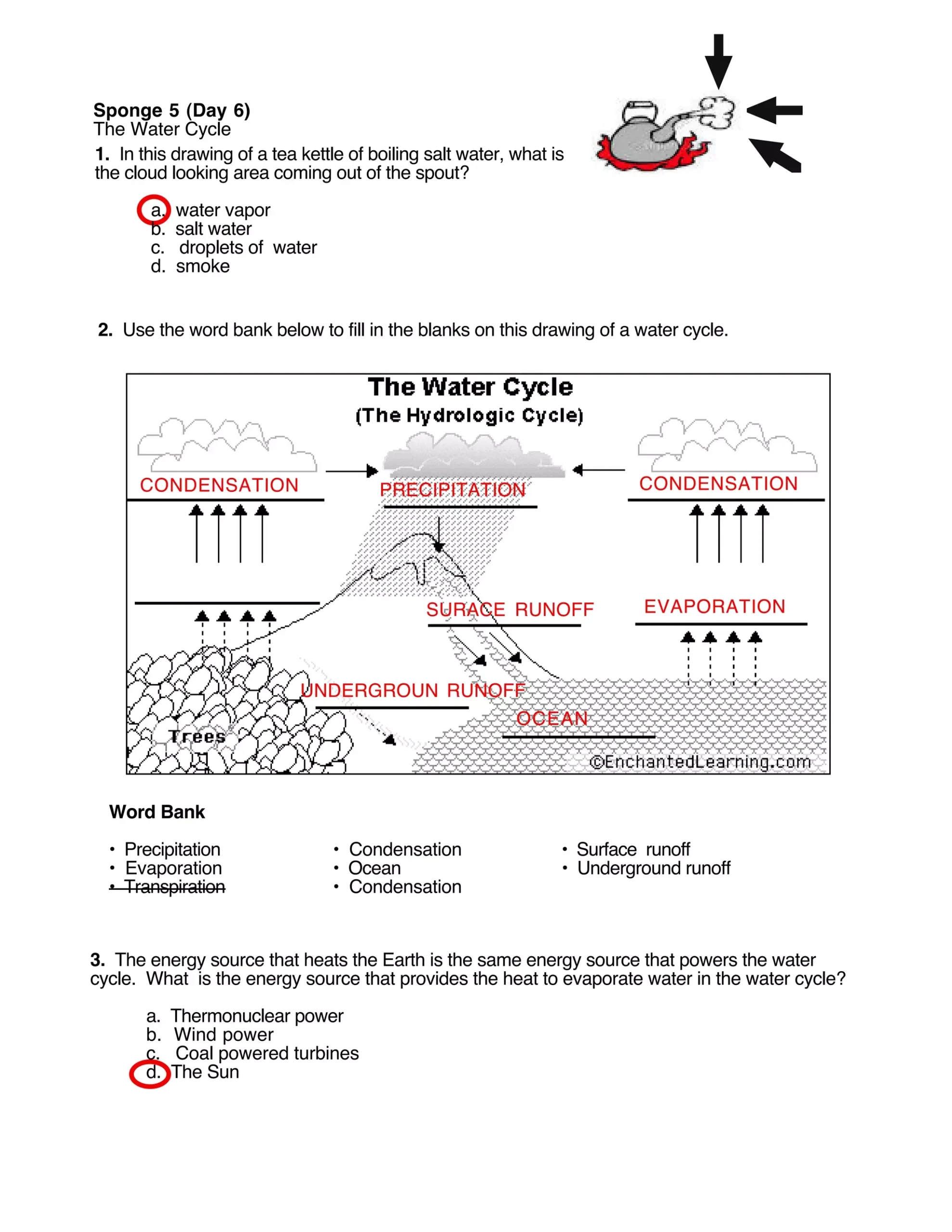 Water Cycle worksheet s answers PDF